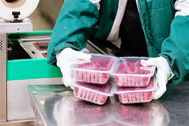 کارخانه بسته بندی گوشت و مرغ